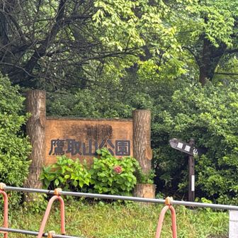 道路を歩いて鷹取山公園へ。