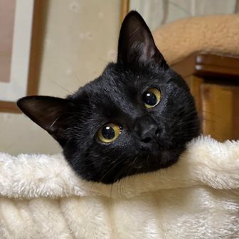 あーちゃんパパ