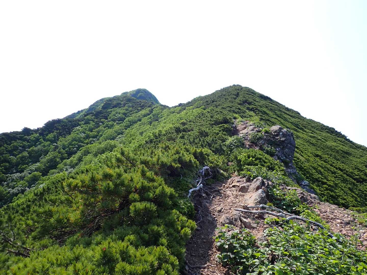 少しずつ山頂が近づく
がんばれ〜😇