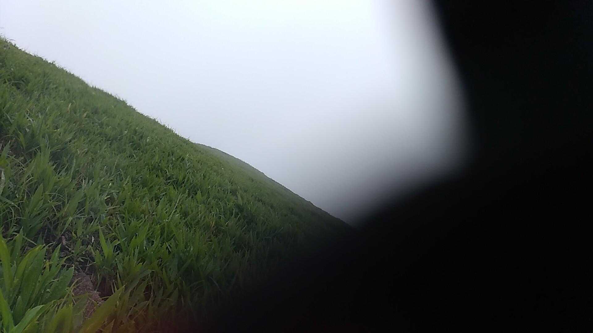 由布登山口バス停-正面登山口-飯盛ヶ城 往復コースの写真