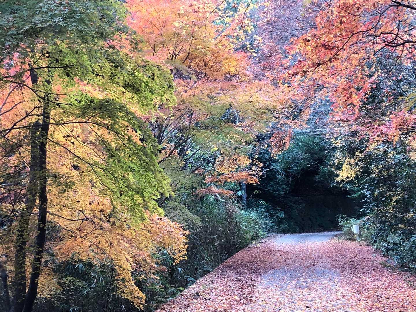 振り返って、なんと、なんと…