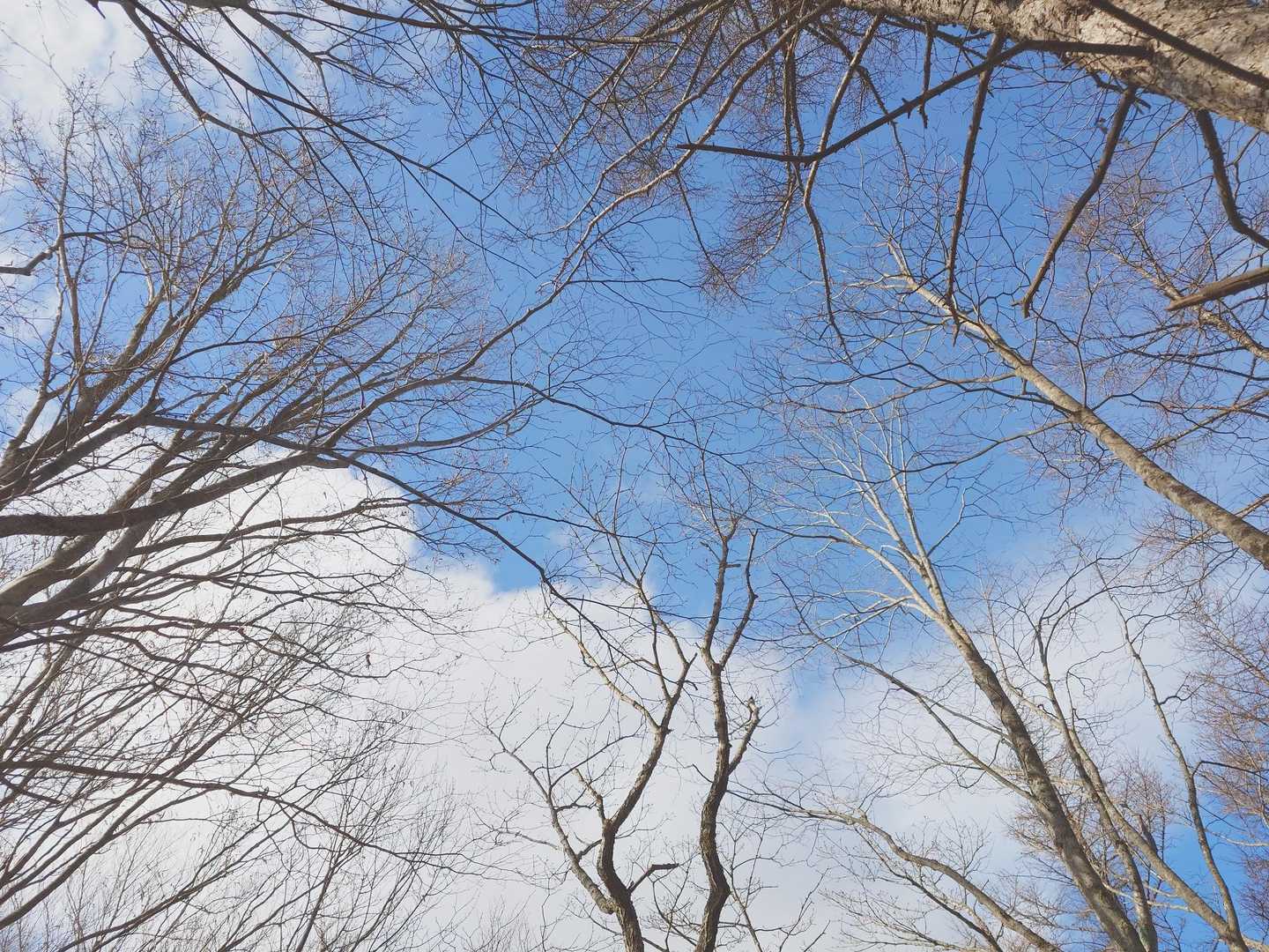 まだ青空