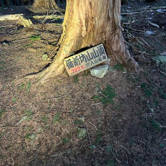 大会ルート外ですが、往復5分程度なので、ピークハンターの方は自己責任でどうぞ。
展望は‥お楽しみ😊