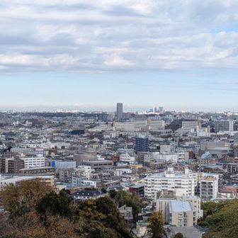 枡形山展望台からの遠景。