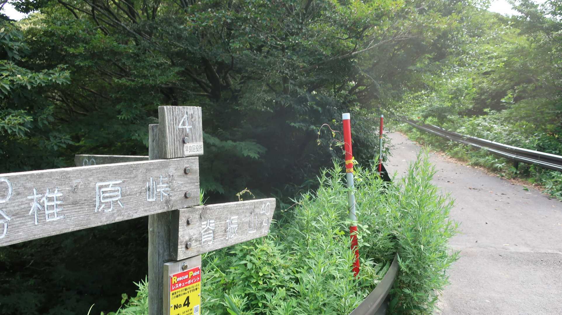 風があり、そんなに暑くはなかったので山頂まで行くことにした。