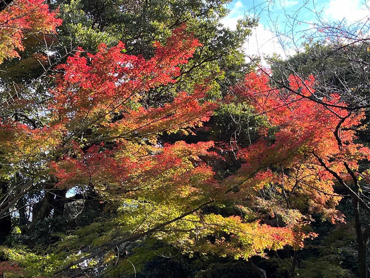 小牧市役所バス停-小牧山 往復コースの写真