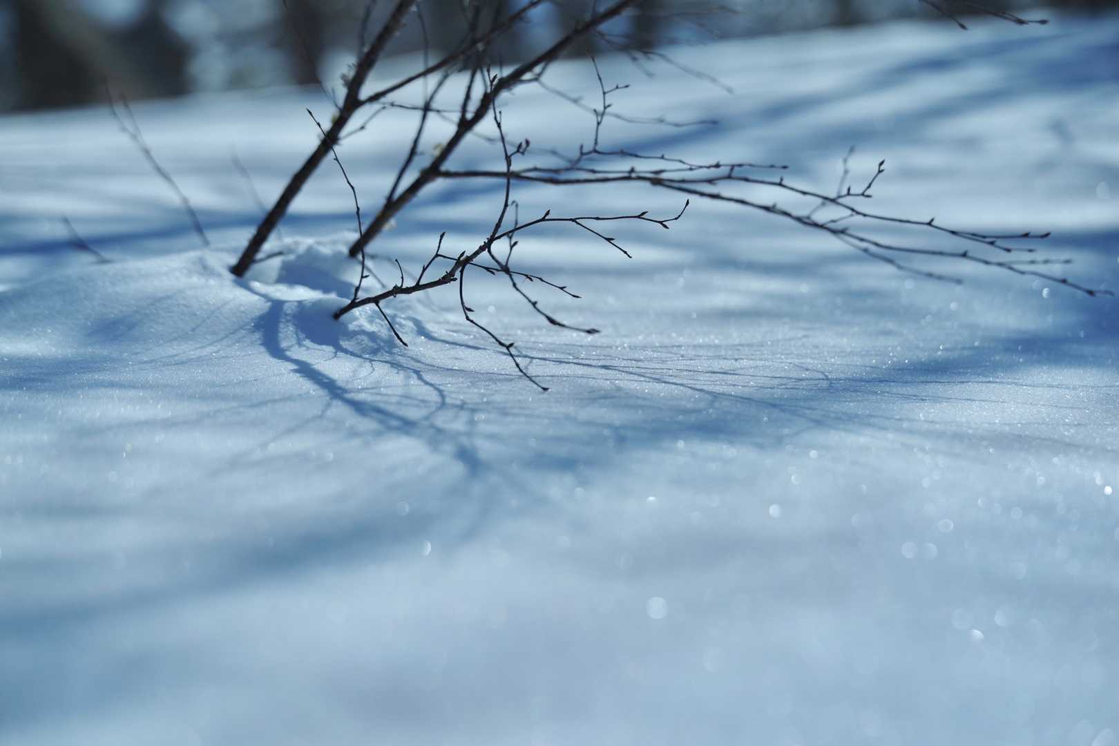 アイレベルを下げる…
→アゴに雪がつく