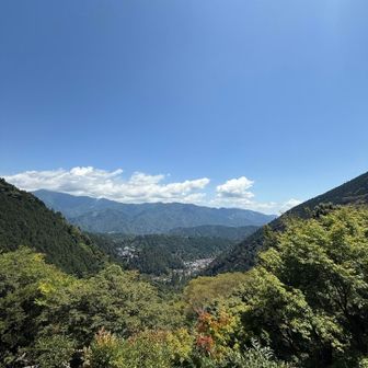 ここも景色良かったー