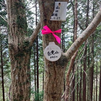 白滝山
ここに来るまで分岐から200m位下ったなー😅
こちらも眺望無し