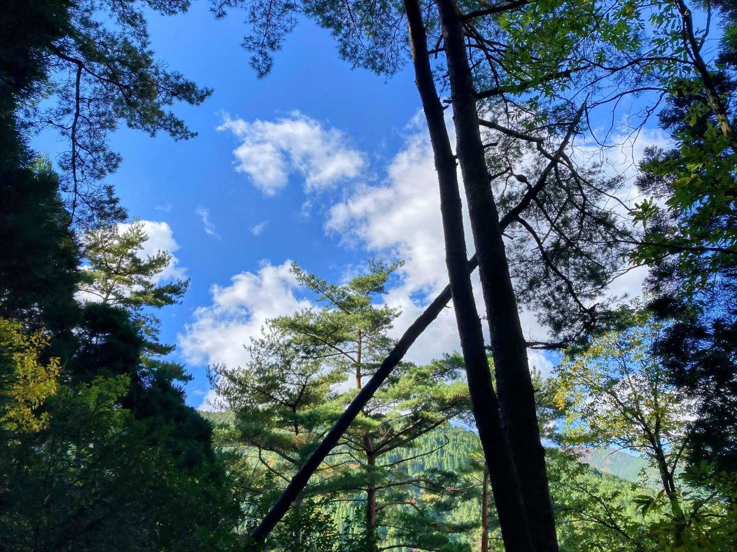 青空🔵が眩しいくらい