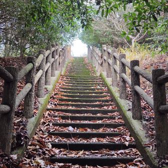 空海展望台の案内板に沿って進む🚗
これを登ったら、高雄山
