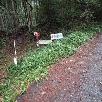お〰️懐かしい　やっと林道にでてきました　ほっとするわ