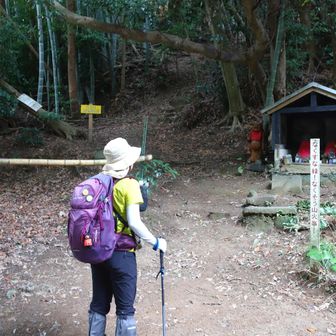 垂見峠湯川山登山口
