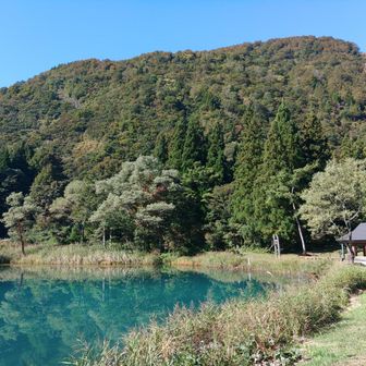 戸倉山。ここから見るとなだらか。