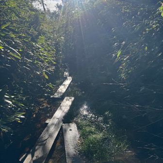 すぐにこうなるから、きっともうこの道は歩かないだろうと思った。
もしまた五竜にトライする時は唐松からアプローチしたいと思った。