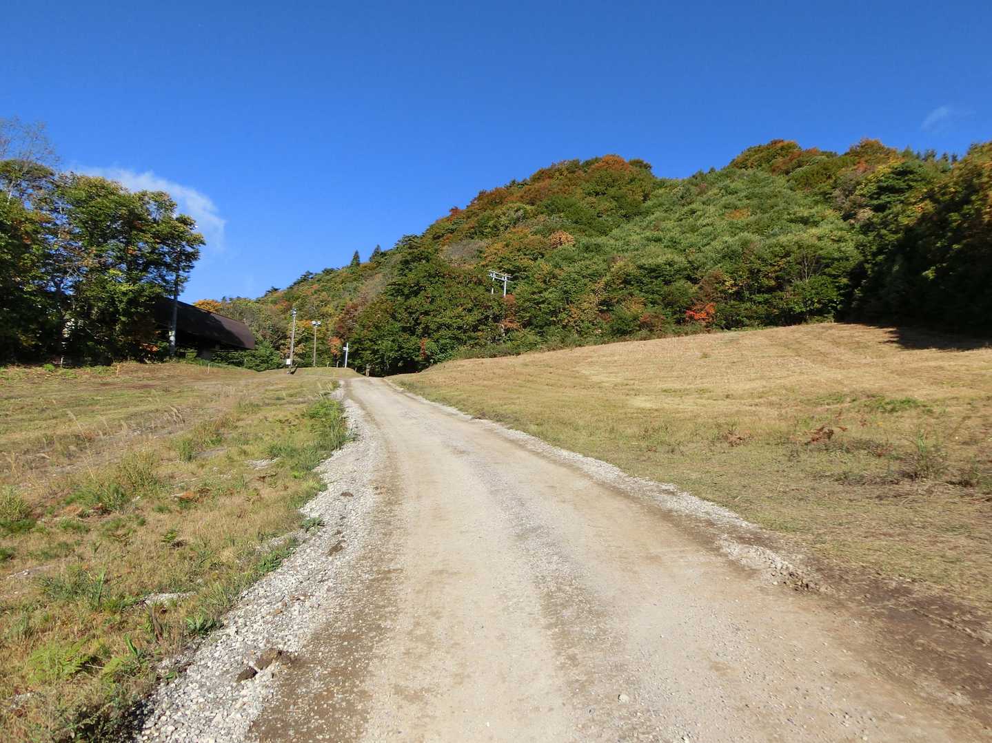 ゲレンデの作業道歩き。
来たときの車道もそうだが、去年来たときよりは紅葉が進んでない。