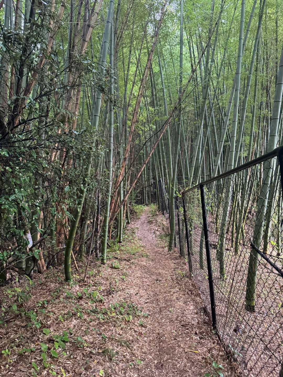 蜘蛛の巣だらけで気持ち悪いけど🥺