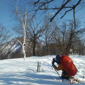 一本白樺と袴腰山撮影中