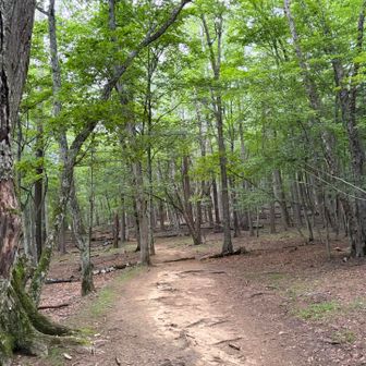 瑞牆山荘から出発