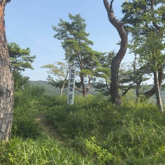 城跡が　ピーク