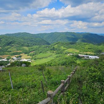 大野ケ原の牛舎が見えます
観望も良い