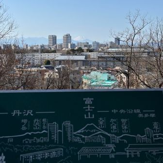 富士山や丹沢の山々を見ることができます。