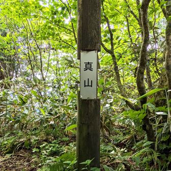 真山山頂