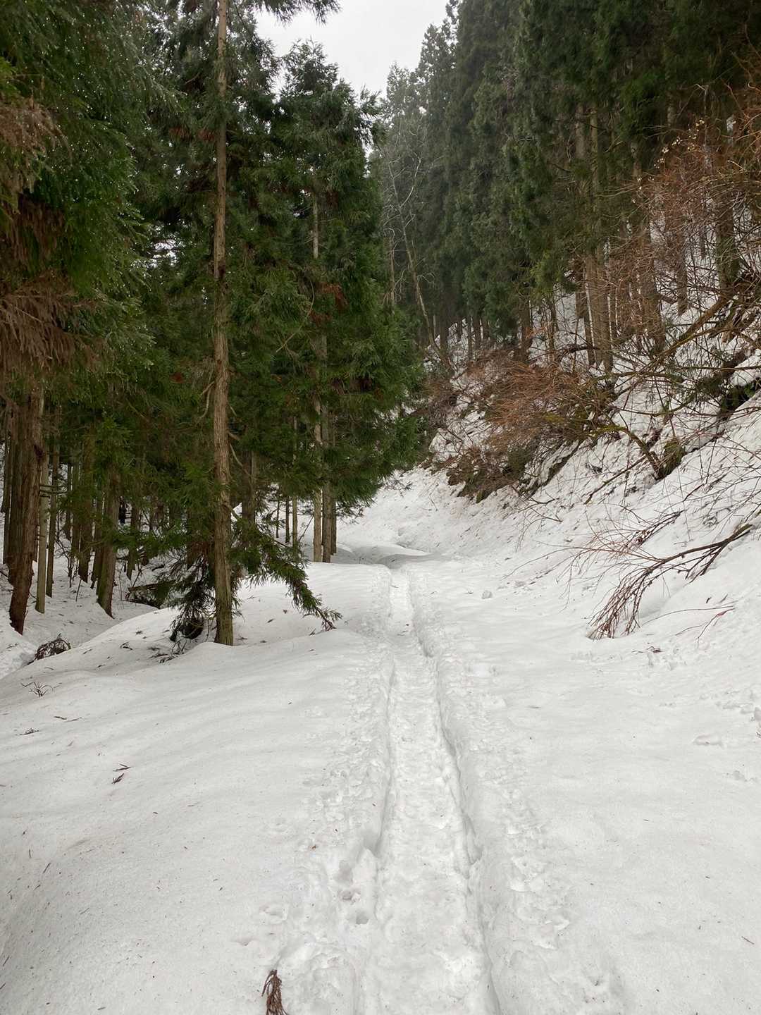 これは山登りなのか？