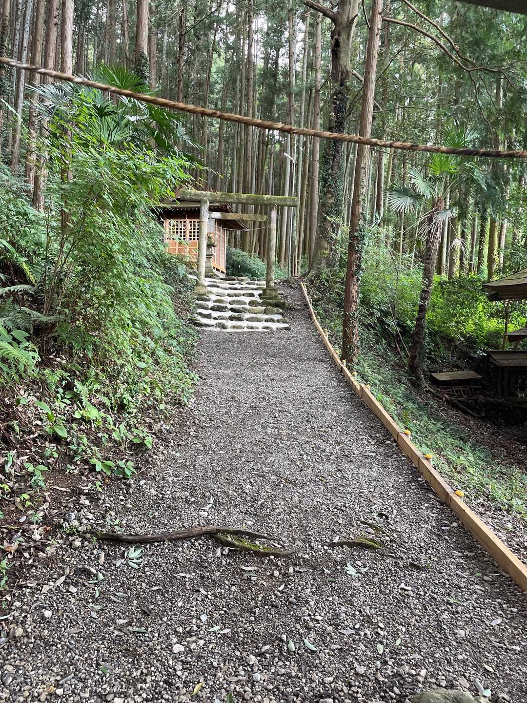 柏木山-赤根峠-龍崖山 周回コースの写真