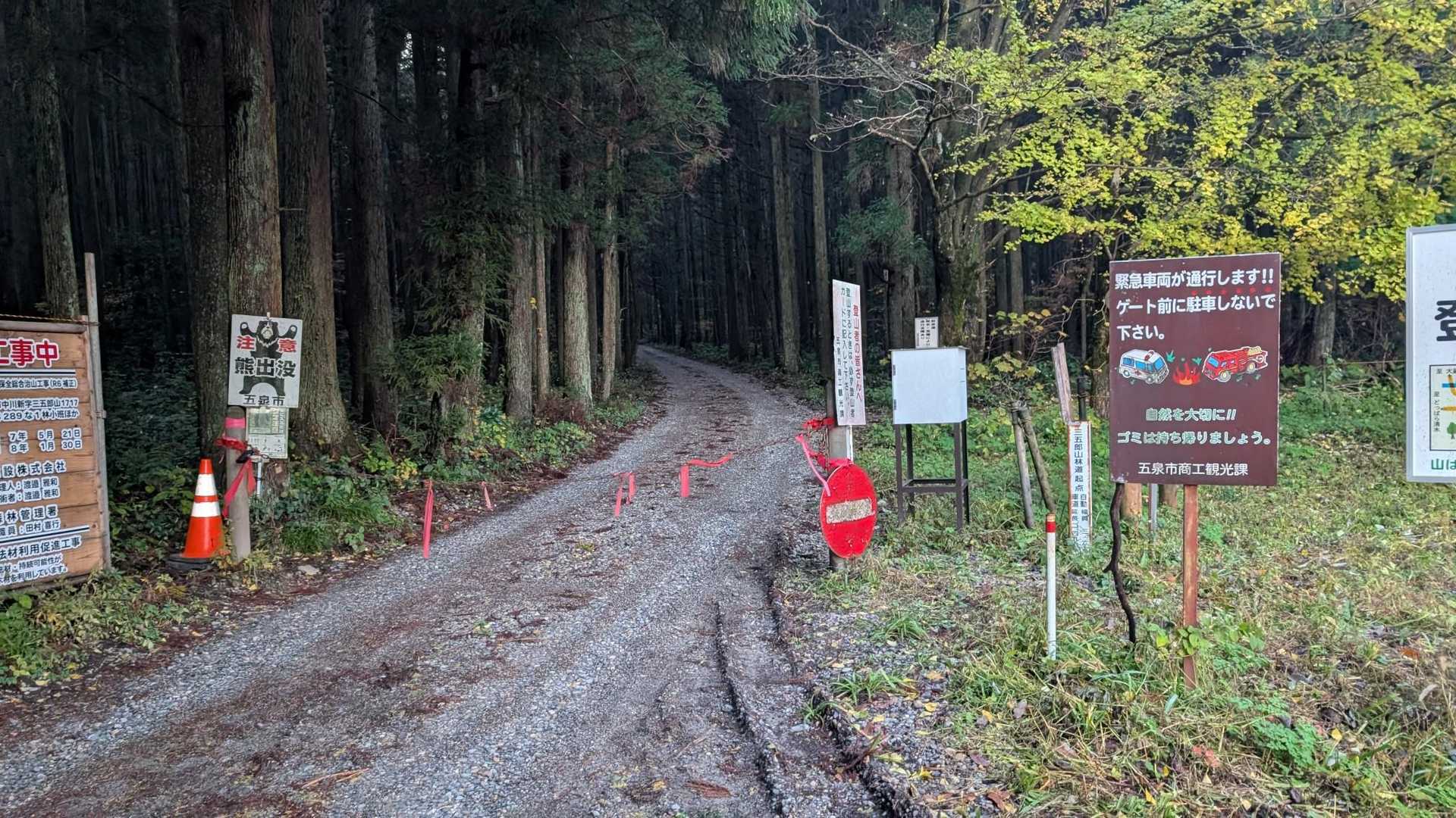 林道が綺麗に〜🚶
この時点でまだ誰も〜