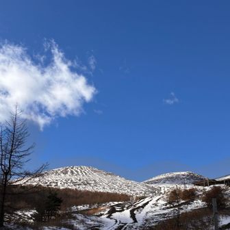 これから登る二子山🗻🗻