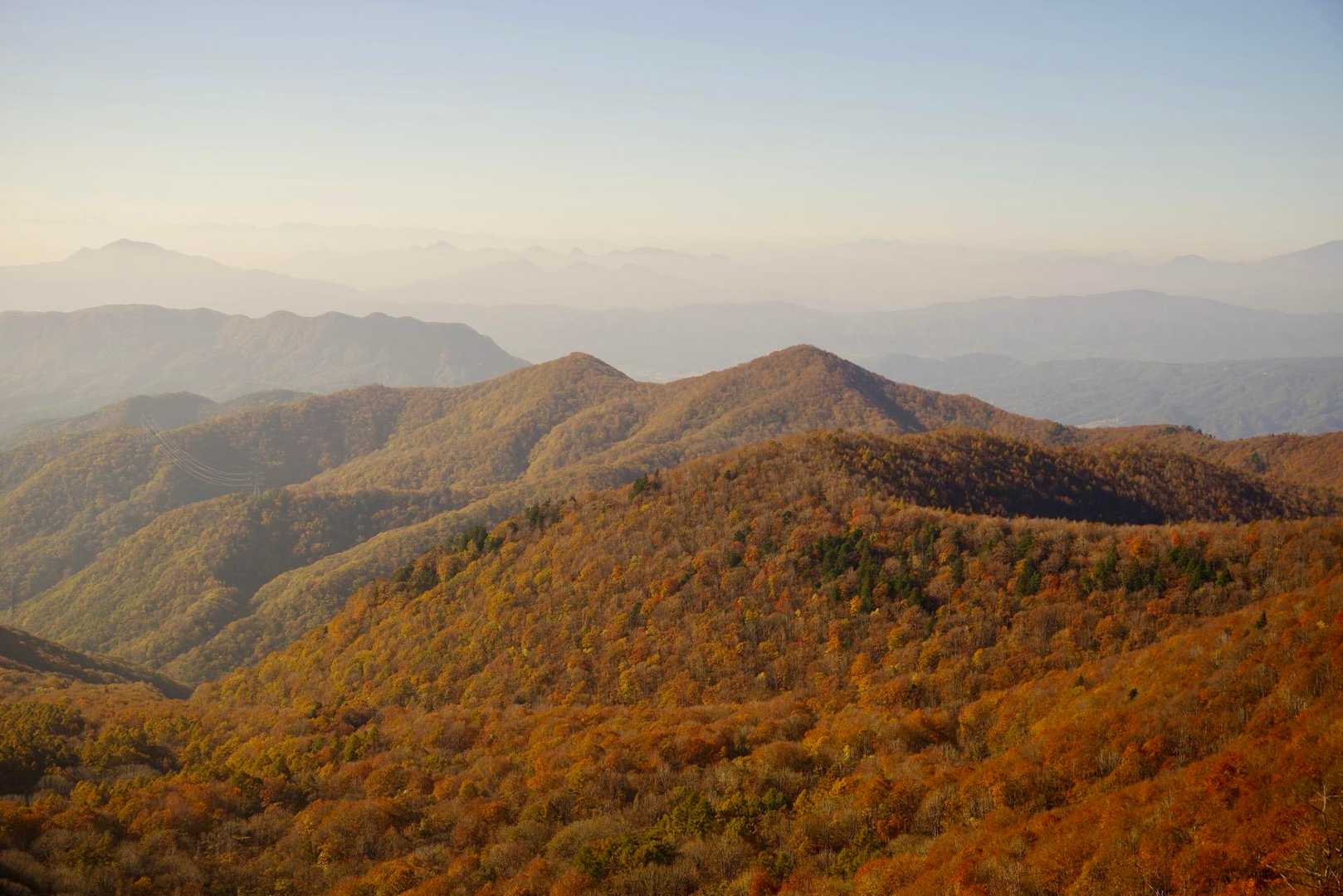 山頂から。