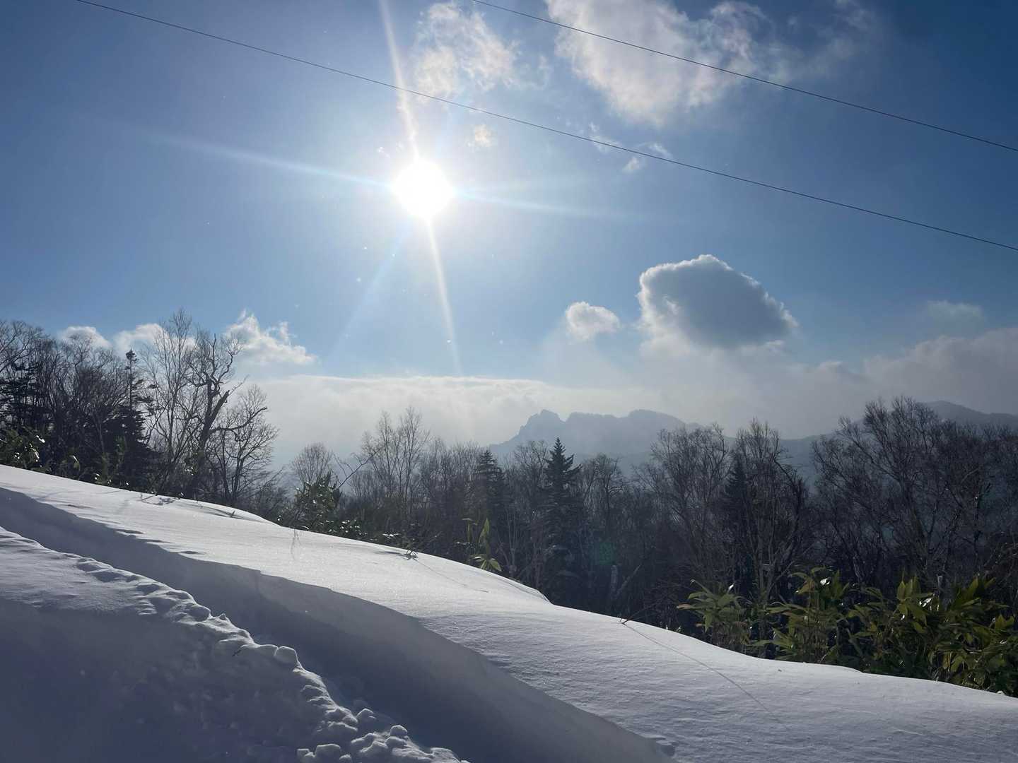 上平沢林道登山口-迷沢山 往復コースの写真