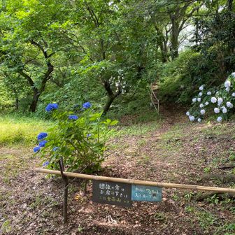 ん？進入禁止？