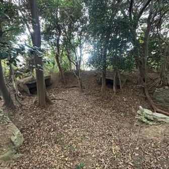 よくわかりませんが、こんな感じ😳