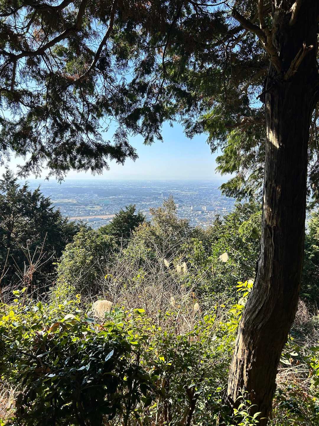久留米成田山
慈母観音像が真ん中に見えます👀✨