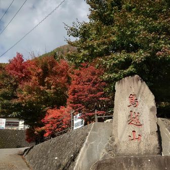 お邪魔します