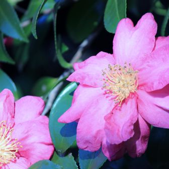 ✨✨✨皆さんに幸あれ✨✨✨