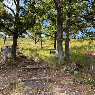 東登山口に下山❗️