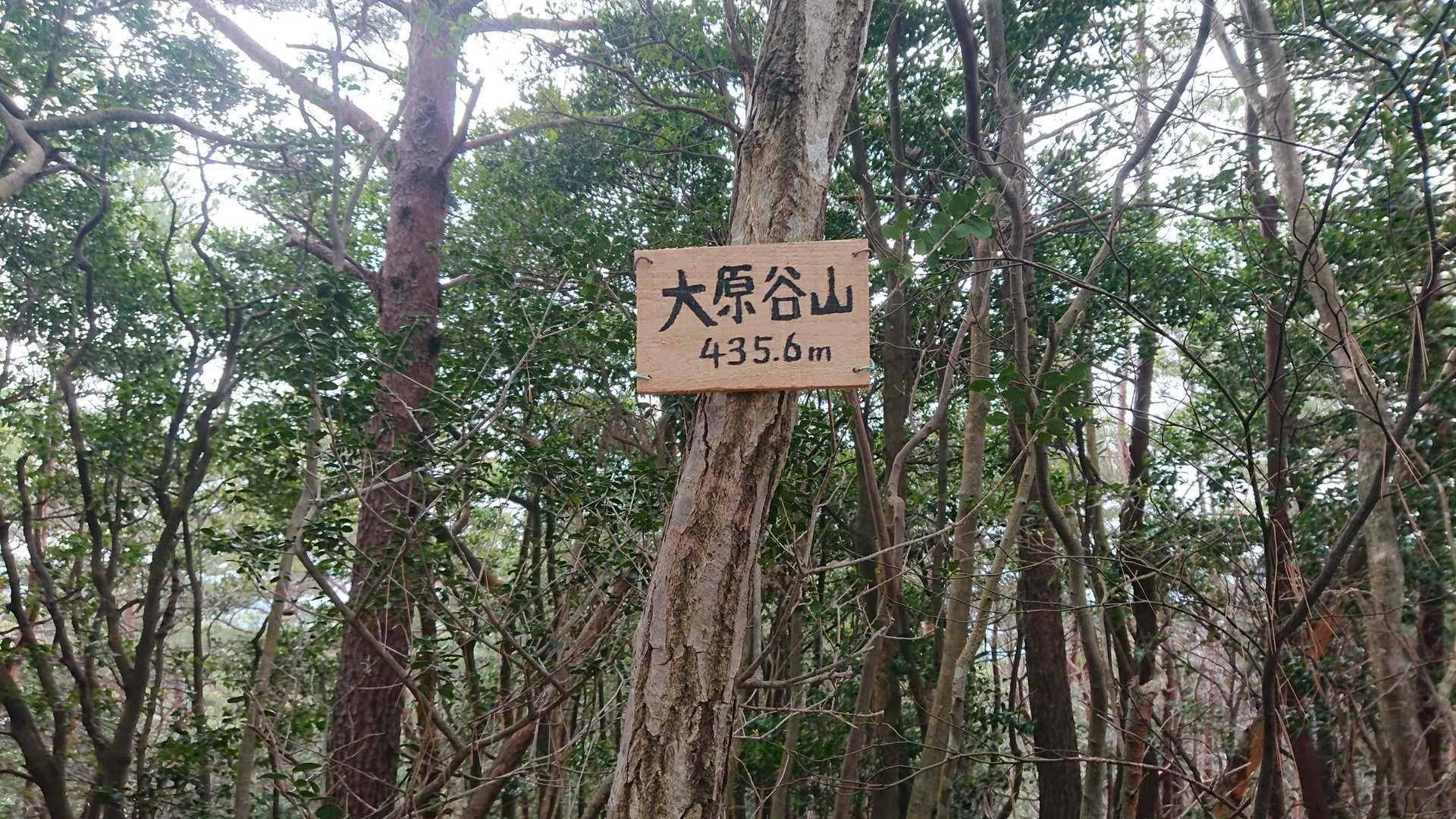 頂上