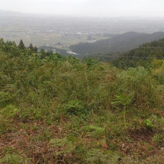 見晴らしは良いです。眼下は坂井平野です