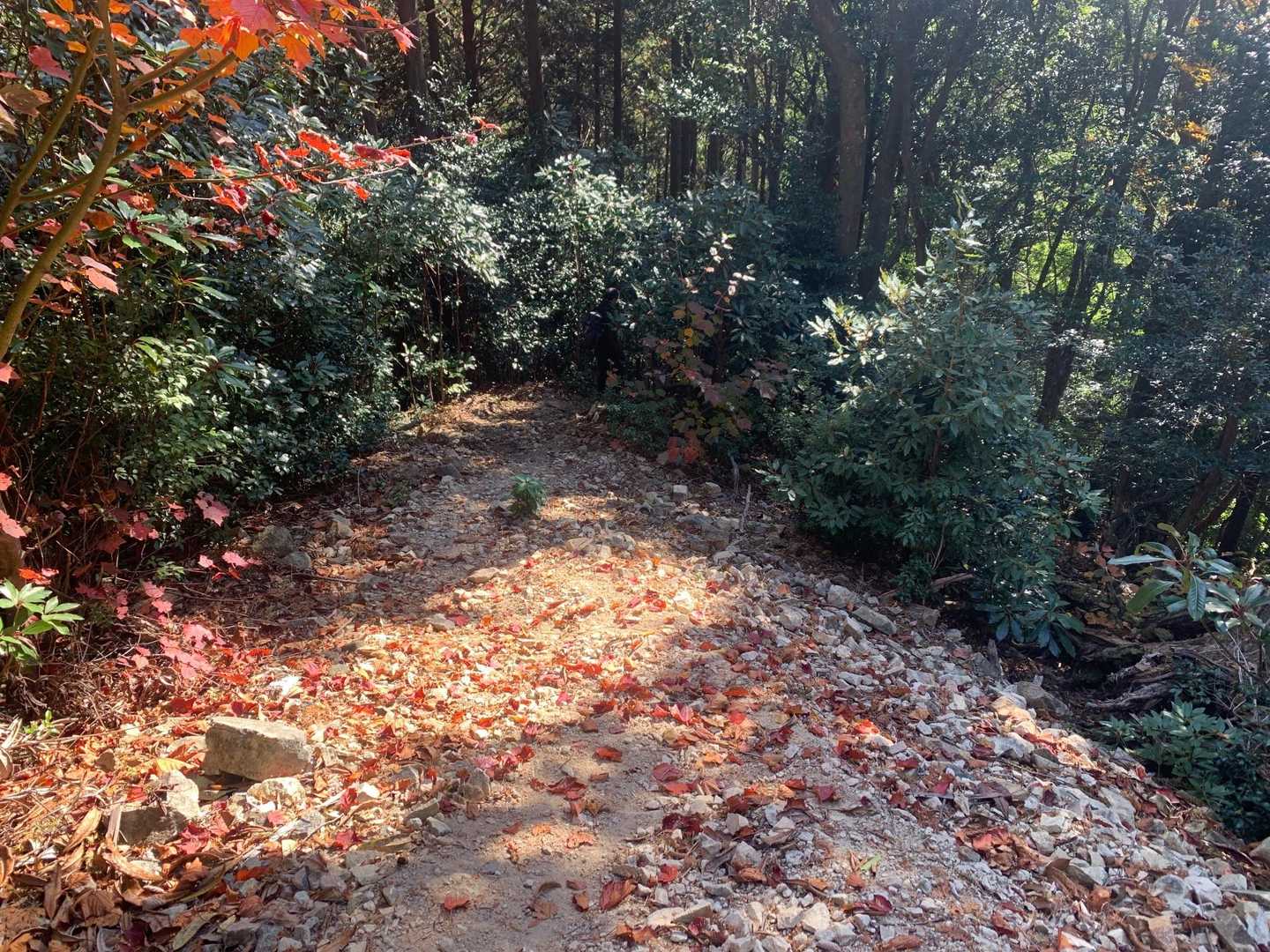 白木山駅-白木山登山口-白木山-別当山 周回コースの写真