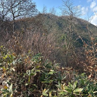 あれが孝霊山？