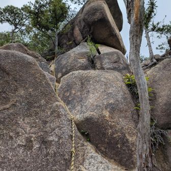 登った先に堂山のピーク