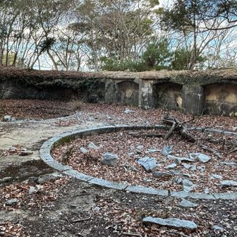 しっかり遺ってるね