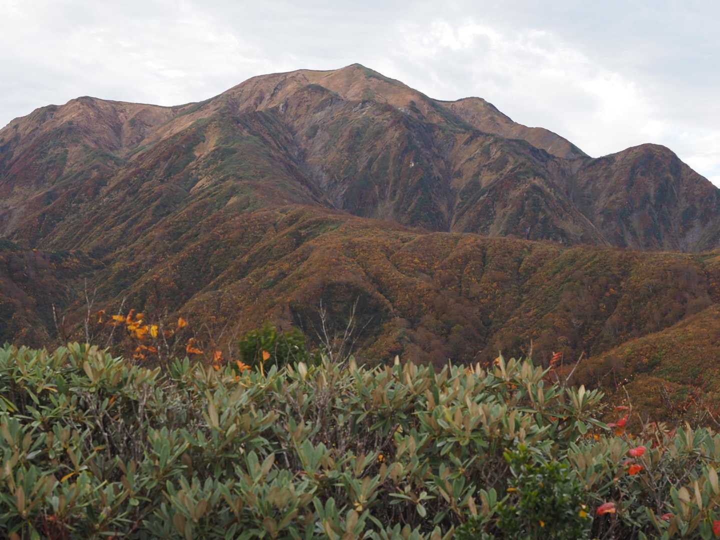 枝折峠-明神峠-道行山 往復コースの写真