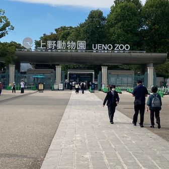 上野動物園だぁ、