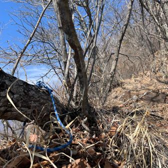 藪漕ぎなのに掴める所があまり無い
捨てロープ有り