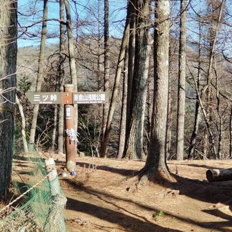 登山道に入ると静かな山です。ただし、乾ききってます。扇山の為にも、ひと雨または大雪が欲しいですね。