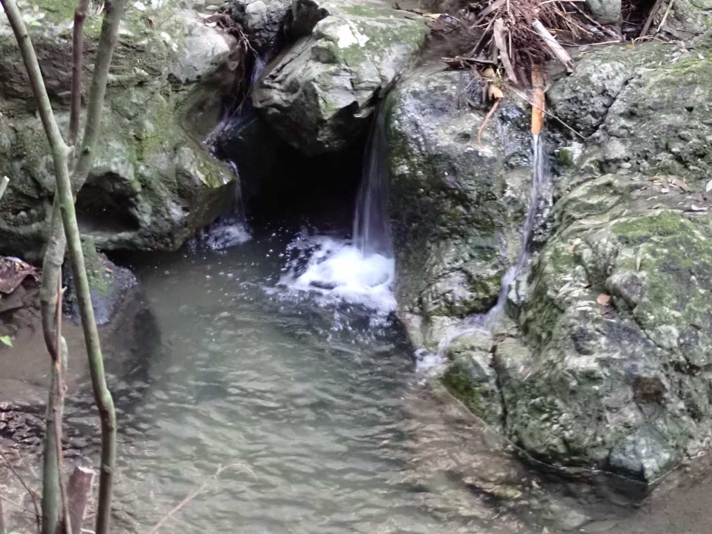 川沿いを行きます🚶‍♂️